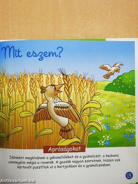 Állatok a szántóföldön