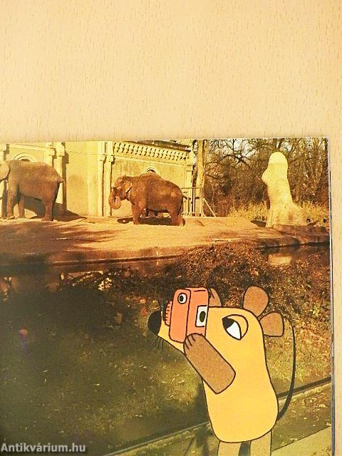 Die Maus macht ein Foto
