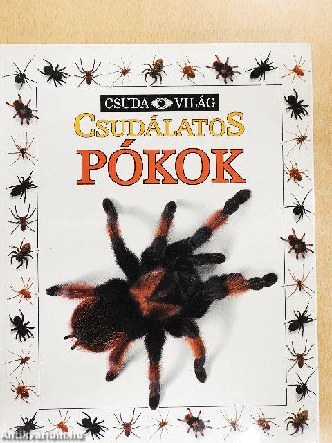 Csudálatos pókok