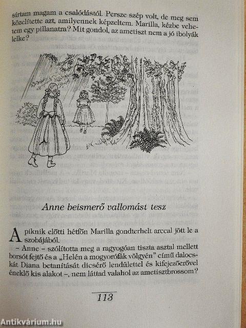 Anne otthonra talál