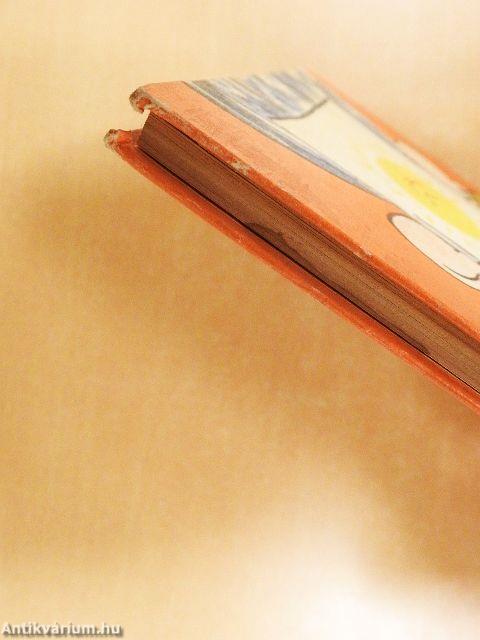 Bald bin ich ein Schulkind