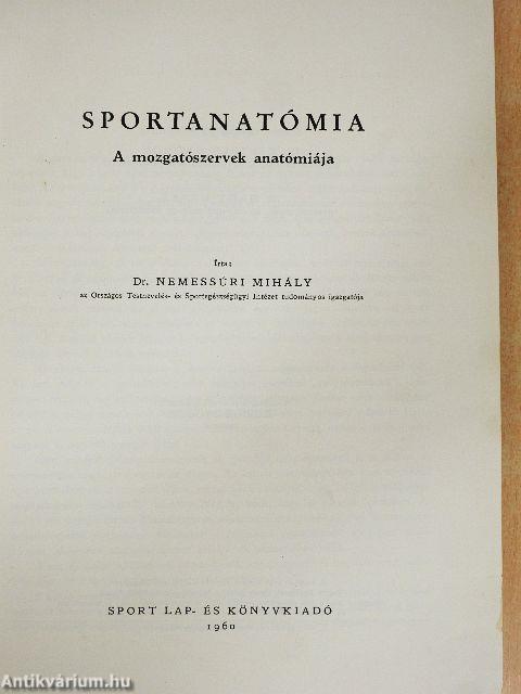 Sportanatómia