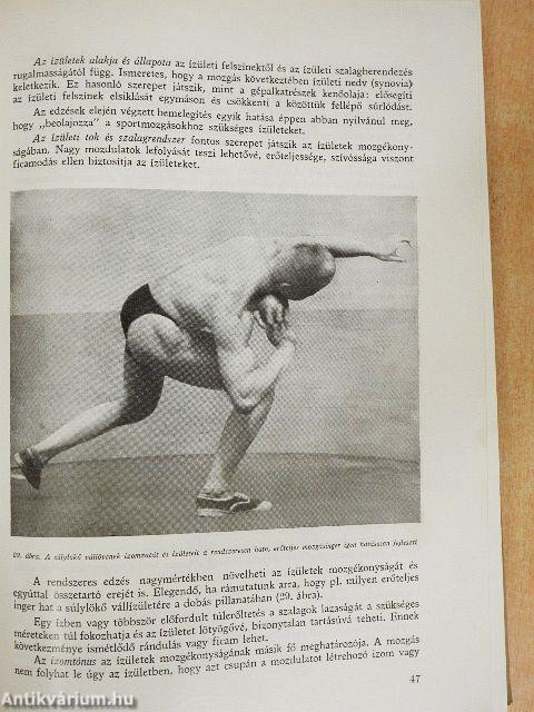 Sportanatómia