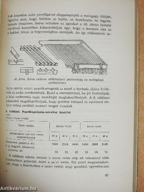 Paprika termesztés