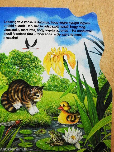 Cirmi nagy kalandja