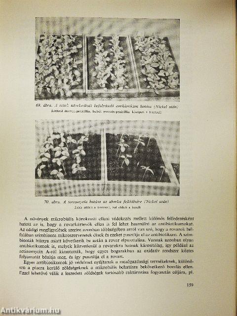 Mikrobiológia