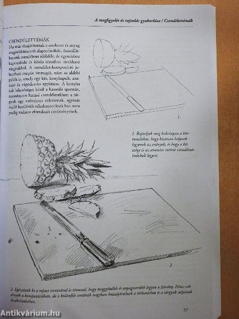 A rajzolás alapjai