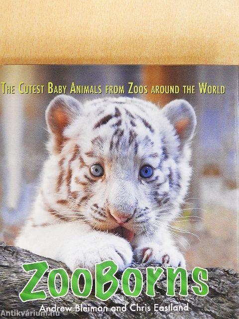 ZooBorns
