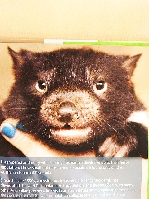 ZooBorns