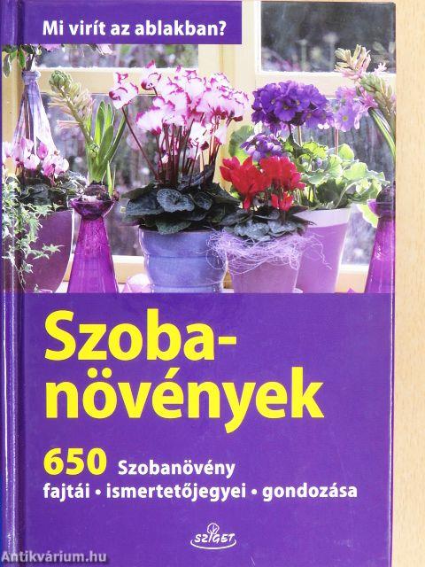 Szobanövények