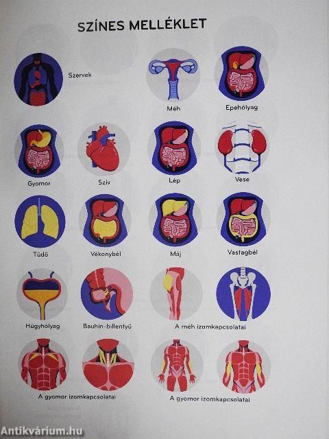 Body Code