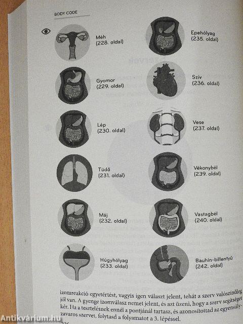 Body Code