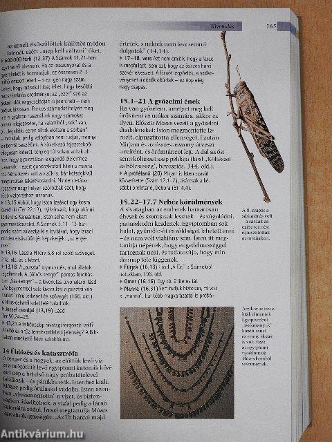 Kézikönyv a Bibliához
