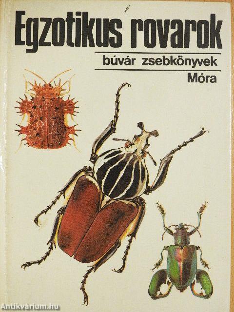 Egzotikus rovarok