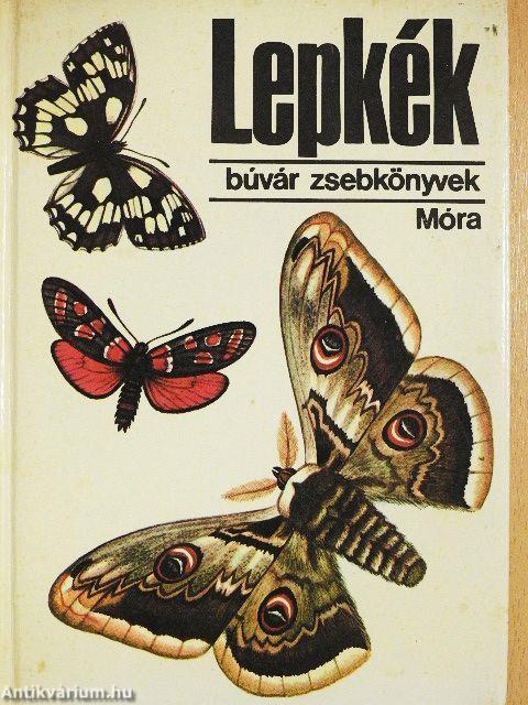 Lepkék
