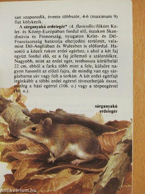 Emlősállatok