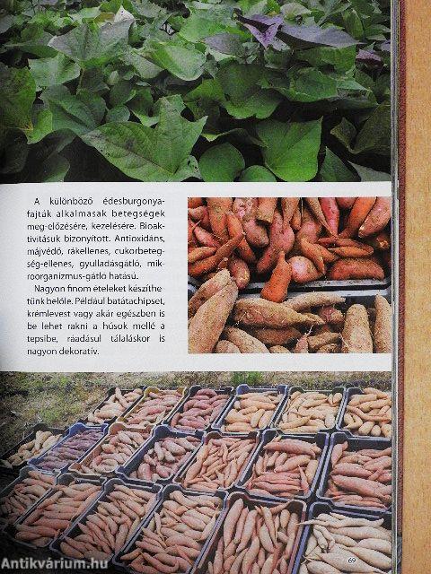 Én kis kertem