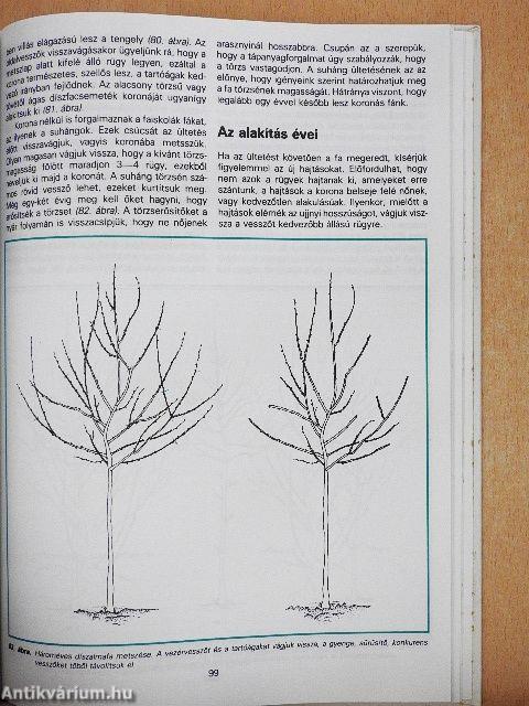 A metszés ábécéje