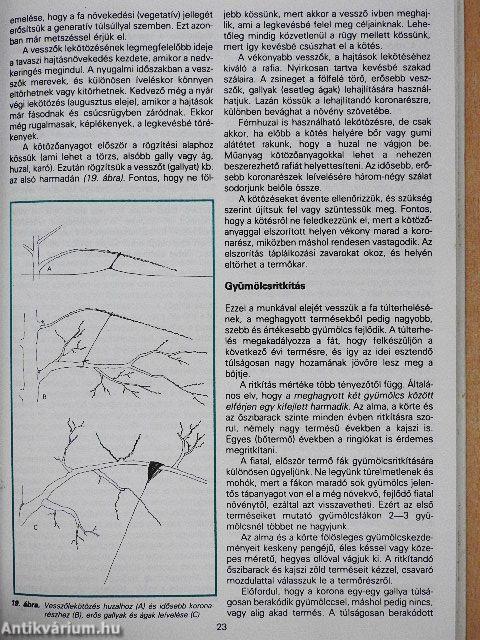 A metszés ábécéje