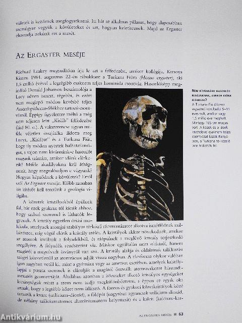 Az Ős meséje