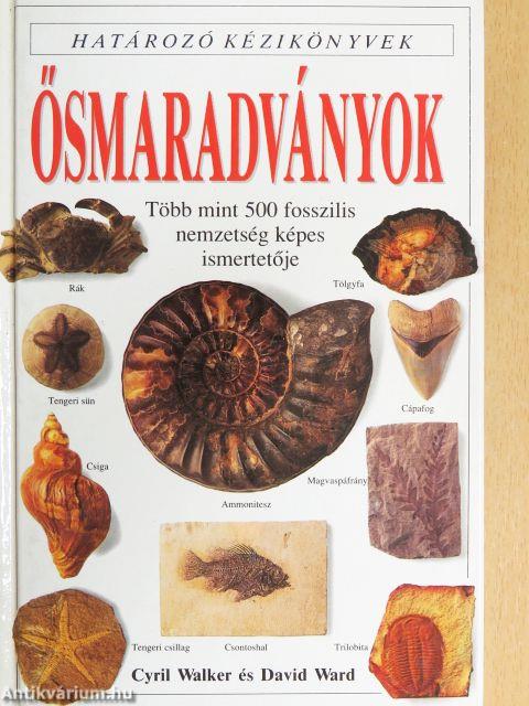 Ősmaradványok
