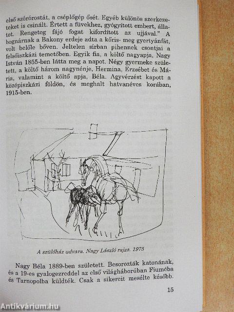 Nagy László pályaképe