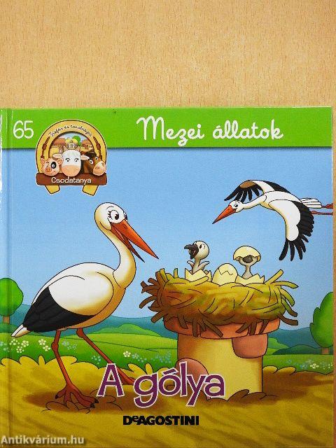 A gólya