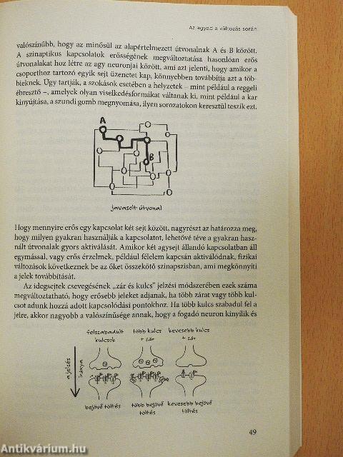 Agytakarítás
