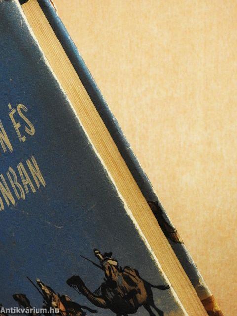 Sivatagon és vadonban