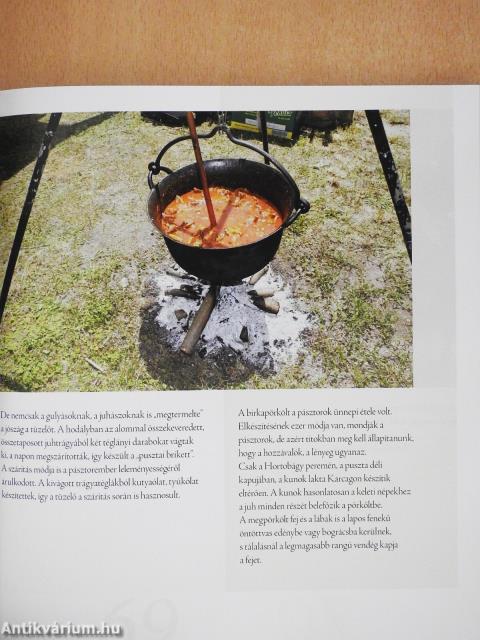 Hortobágy (dedikált példány)