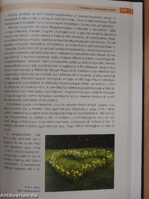 Palliatív ellátás