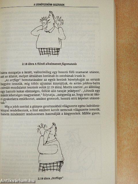Gesztusok