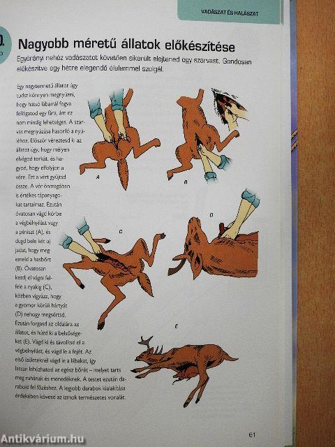 Túlélés a természetben
