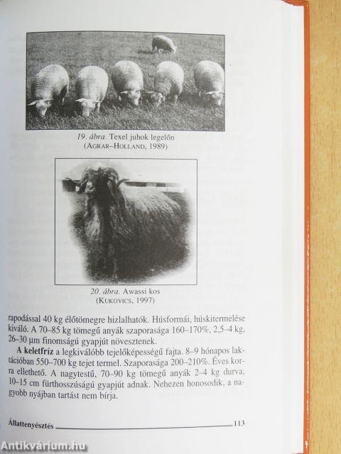 Állattenyésztés