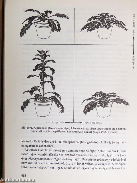 Növényélettan