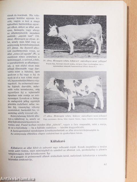 Állattenyésztés 1-3.