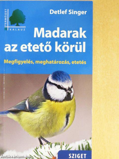 Madarak az etető körül