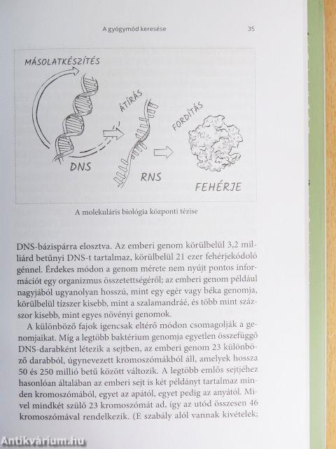 Meghekkelt teremtés
