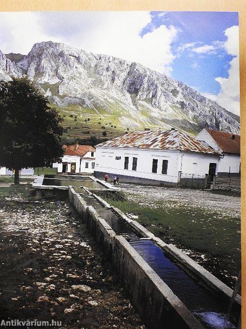 Regélő Torockó