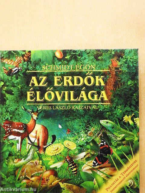 Az erdők élővilága
