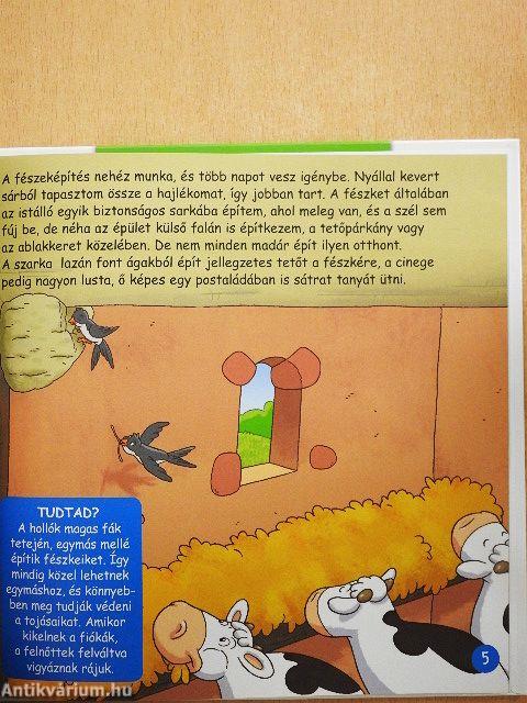 Madarak réteken és mezőkön