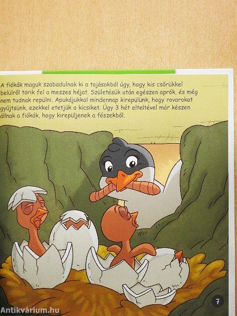 Madarak réteken és mezőkön