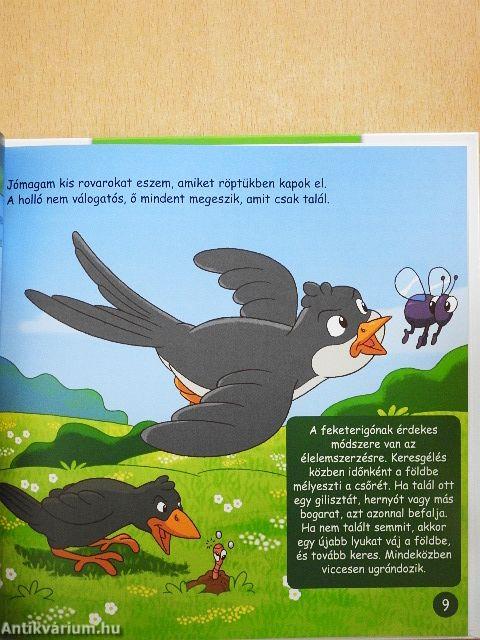 Madarak réteken és mezőkön