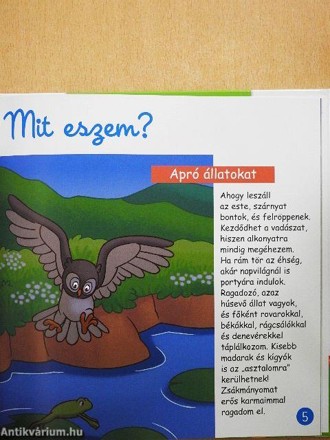 Éjszakai állatok