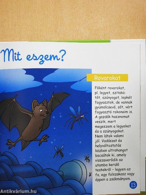 Éjszakai állatok
