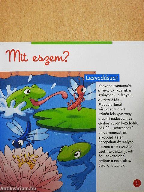 A tó élővilága