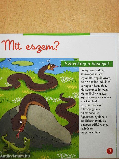 A tó élővilága