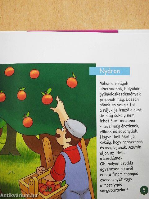 Gyümölcsök