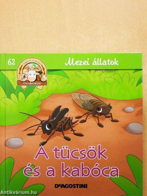 A tücsök és a kabóca