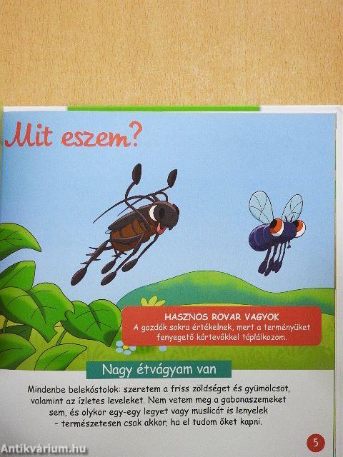 A tücsök és a kabóca